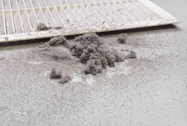 Best Affordable HVAC Duct Cleaning  in River Forest, IL
