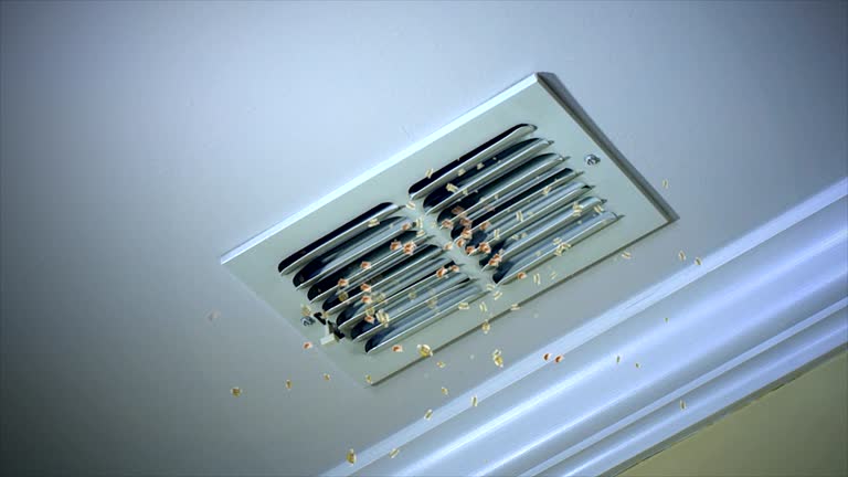 Best Ductwork Cleaning Services  in River Forest, IL