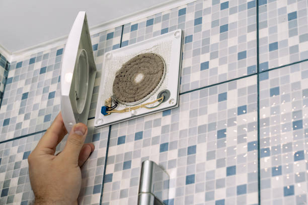 Air Duct Mold Removal in IL