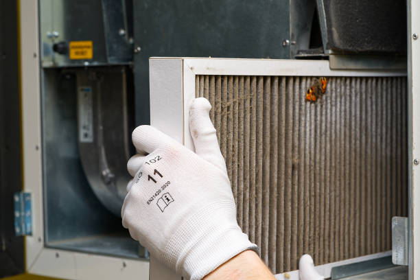 Best Residential Air Duct Cleaning  in River Forest, IL